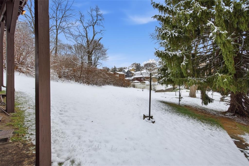 127 Duffland Street Pittsburgh, PA 15210 - Photo 35 of 36 a view of a yard with a tree