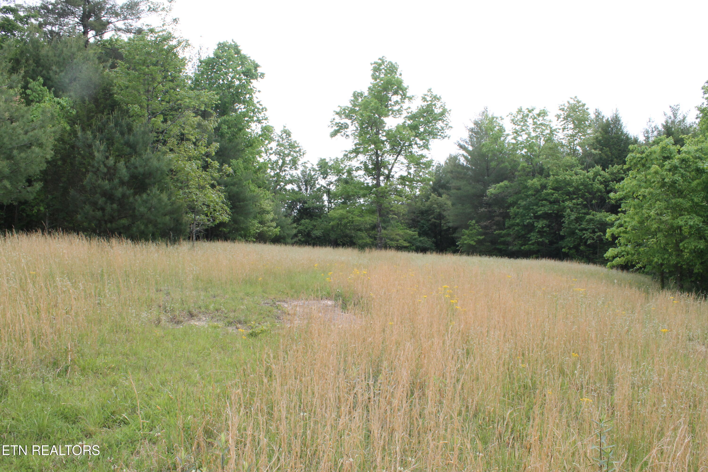 232 Wright Cemetery Road Allardt, TN 38504 - Photo 36 of 39 IMG_8068
