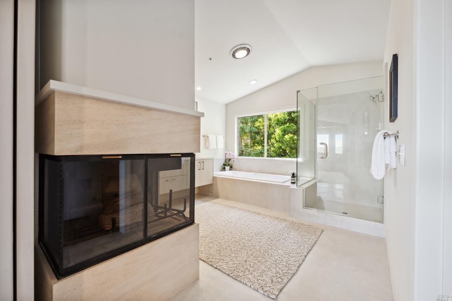 2 Spring Hill Circle Sausalito, CA 94965 - Photo 36 of 57 a living room with a fireplace and a large window