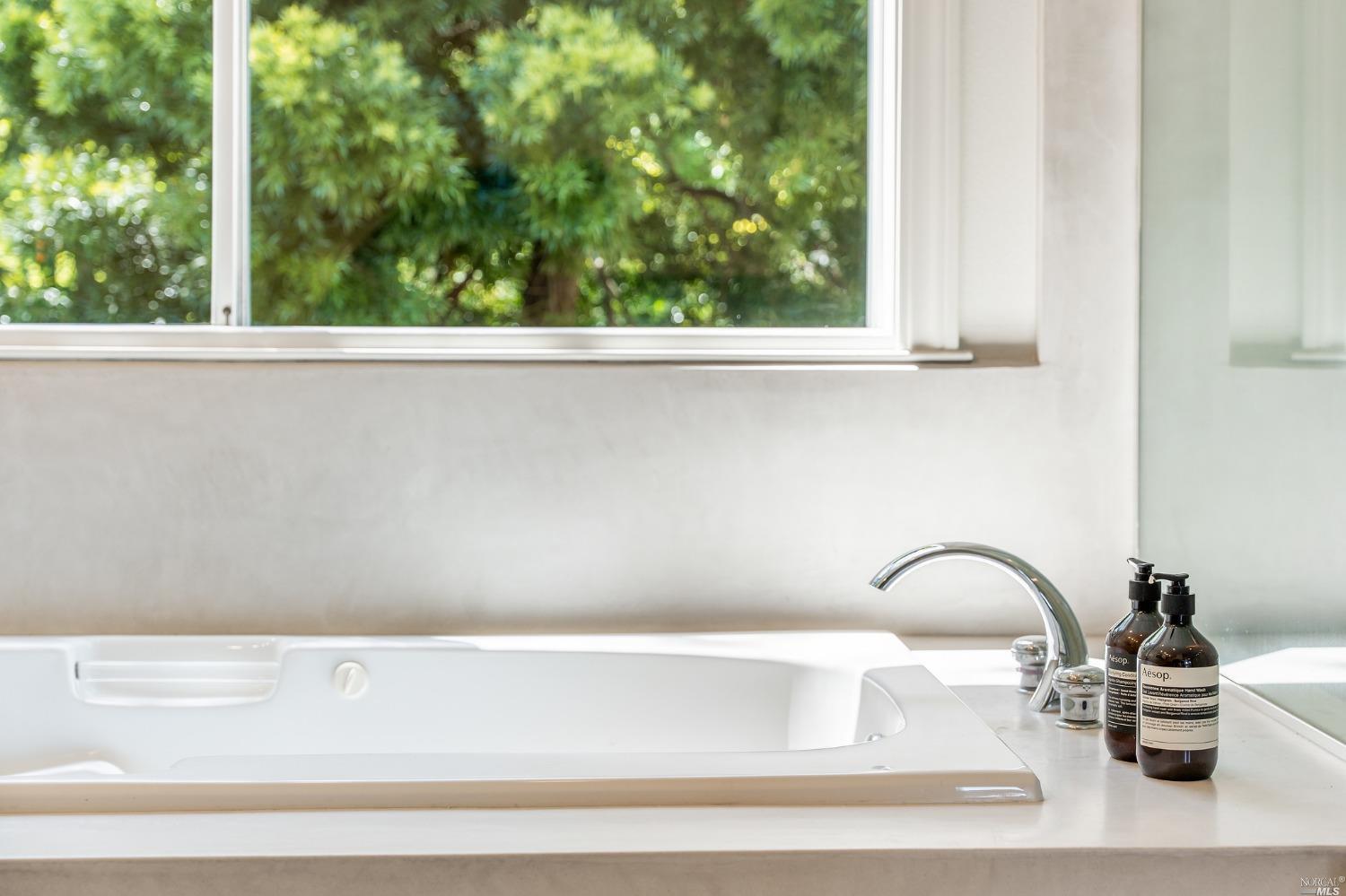 2 Spring Hill Circle Sausalito, CA 94965 - Photo 39 of 57 a close view of sink and tap