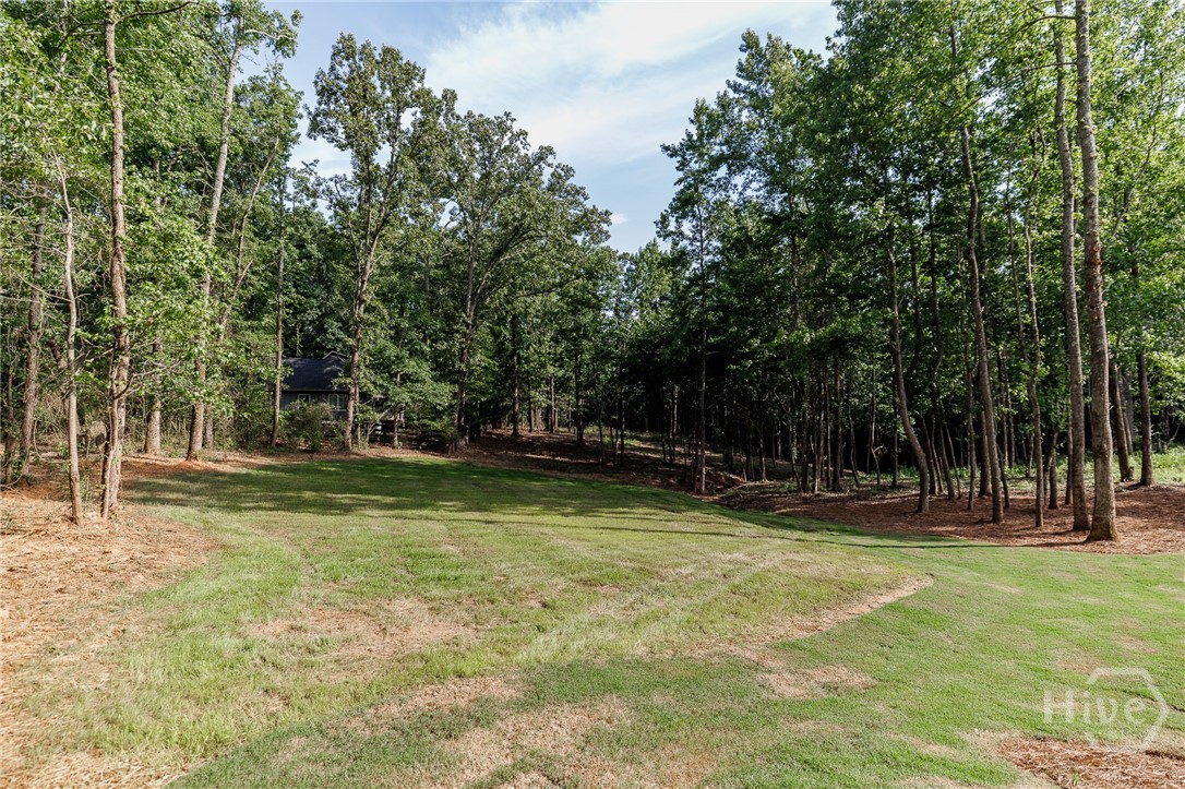 2653 Malcom Estates Ridge Bogart, GA 30622 - Photo 62 of 74