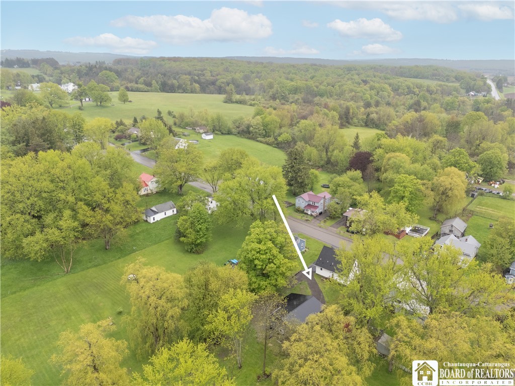 22 High Street Cassadaga, NY 14718 - Photo 34 of 34