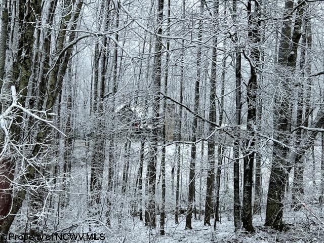 252 Ridgeview Lane Buckhannon, WV 26201 - Photo 24 of 25 Gallery Image 24