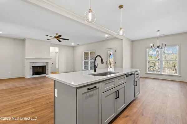 $435,900 | 1368 Crk Hvn Drive, Hernando, MS 38632
