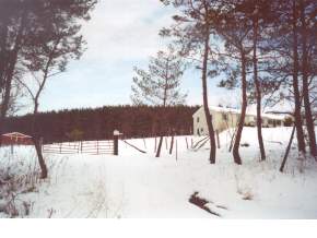 560 Ashley Road Maine, NY 13811 - Photo 3 of 4 Gallery Image 3
