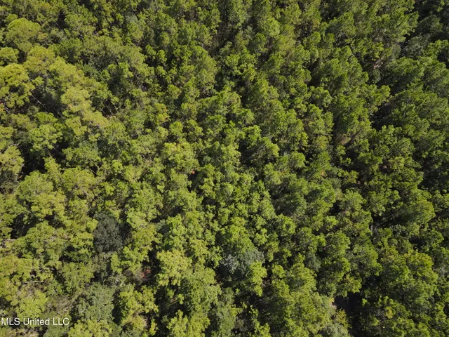 $79,000 | Montebella Road, Pass Christian, MS 39571