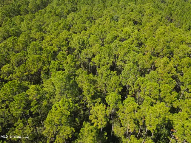 $79,000 | Montebella Road, Pass Christian, MS 39571