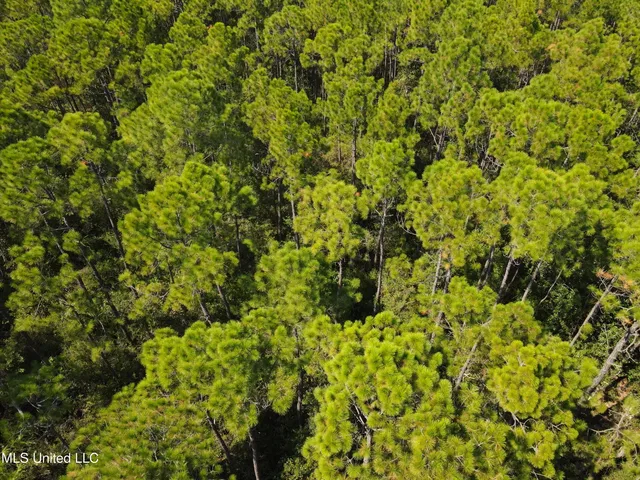 $79,000 | Montebella Road, Pass Christian, MS 39571