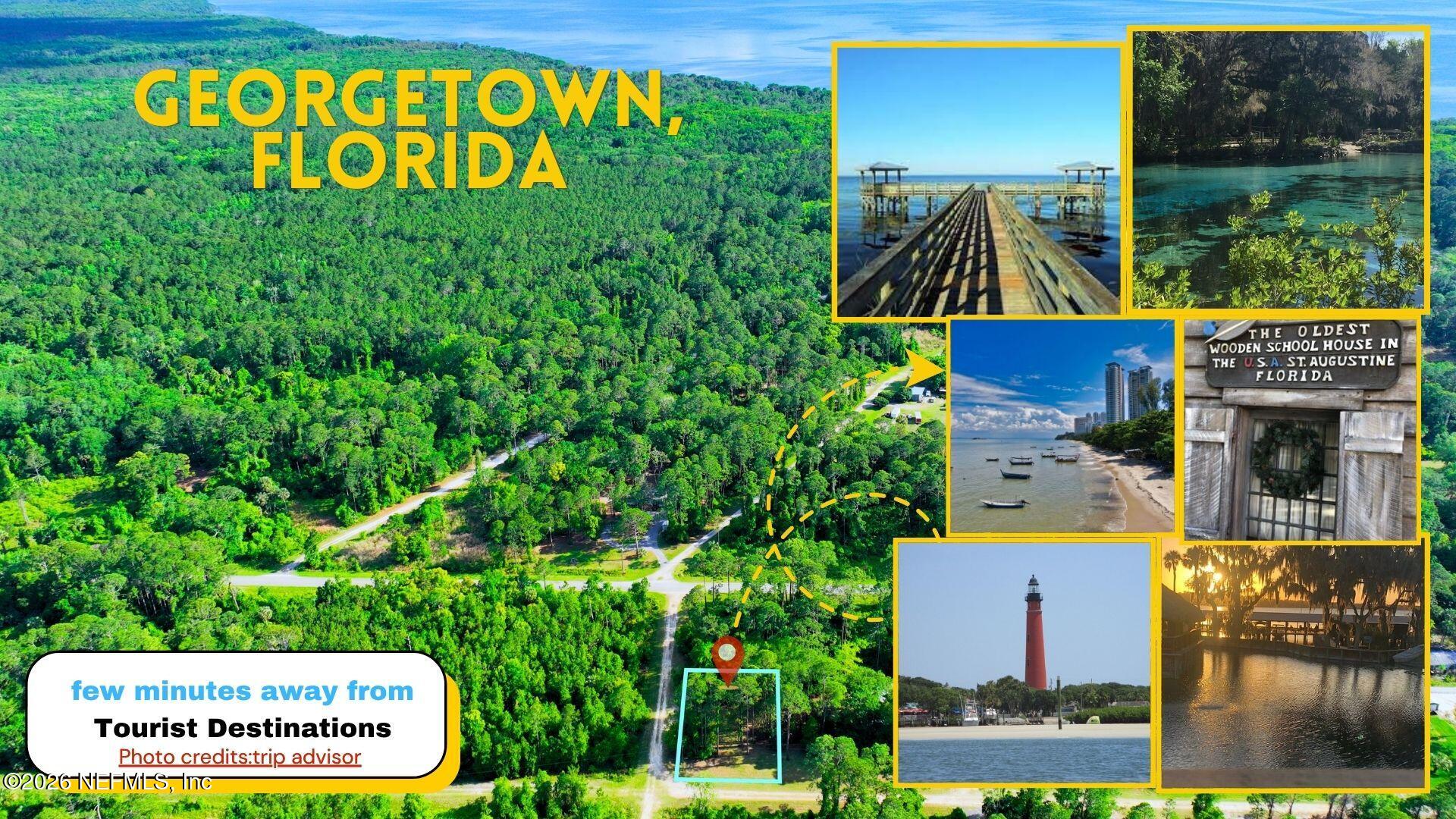 Tbd Tbd Corner Georgetown, FL 32139 - Photo 12 of 13 10-10_2