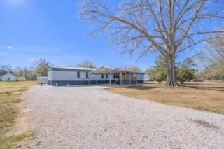 236 Gum Ridge Road Marksville, LA 71351 - Photo 24 of 30