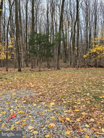 a view of a yard with trees