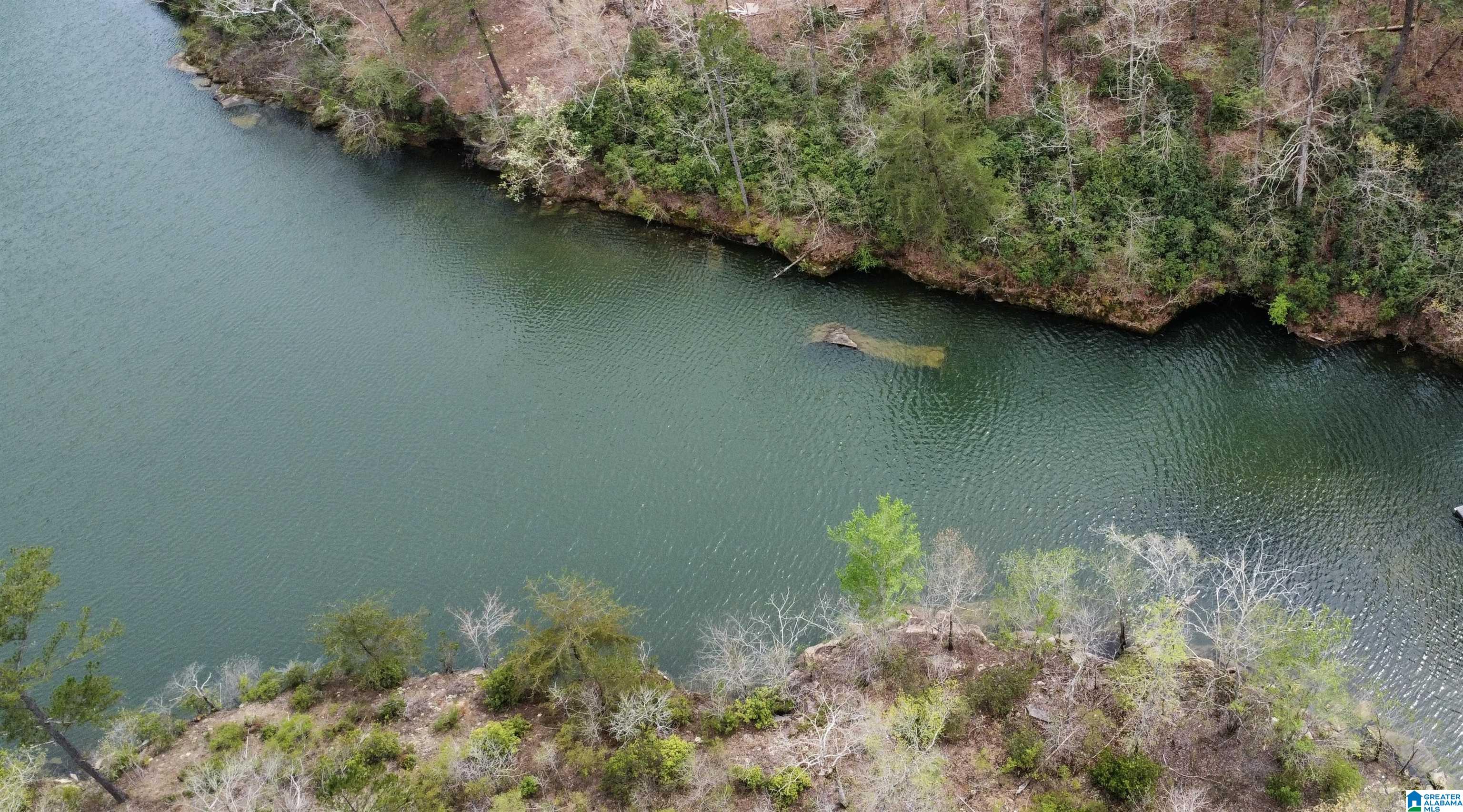 Lot 5 Little Dismal Road, Unit 5 Arley, AL 35541 - Photo 3 of 12