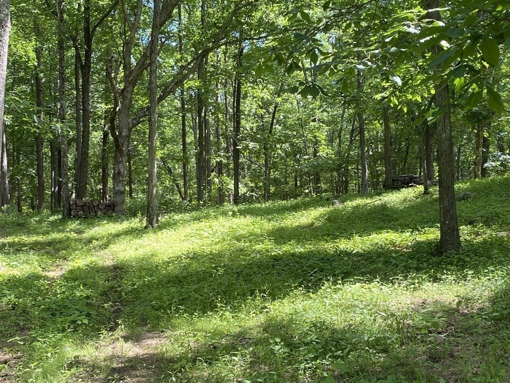 171 Ruggles Hill Road Hardwick, MA 01037 - Photo 9 of 42
