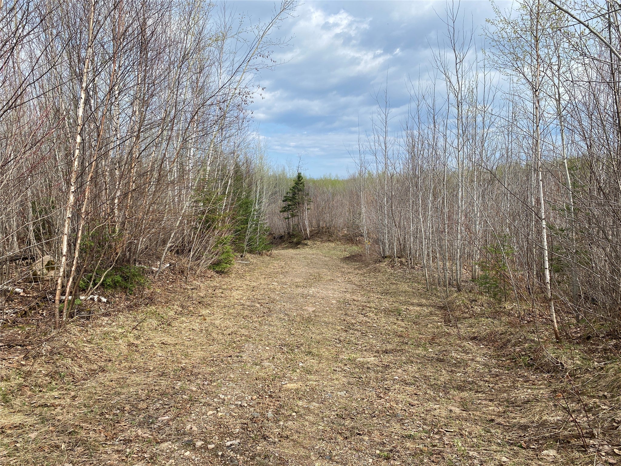 Near Wilson Lake Road Phillips, WI 54555 - Photo 5 of 6 Gallery Image 5