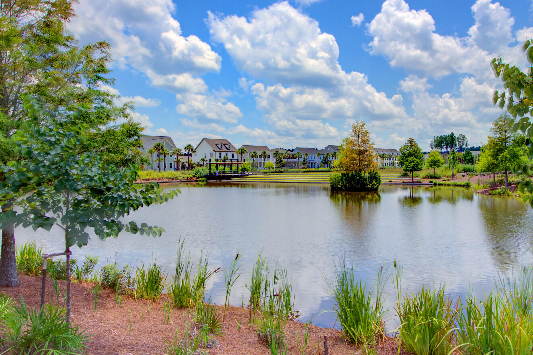 203 Bright Leaf Loop Summerville, SC 29486 - Photo 28 of 55 81_17 (1)_mls