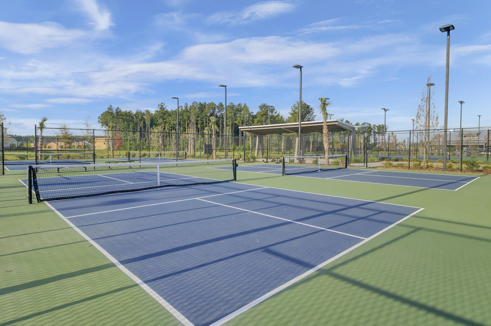 203 Bright Leaf Loop Summerville, SC 29486 - Photo 46 of 55 22