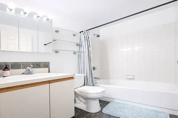 a bathroom with a sink a toilet and a bathtub
