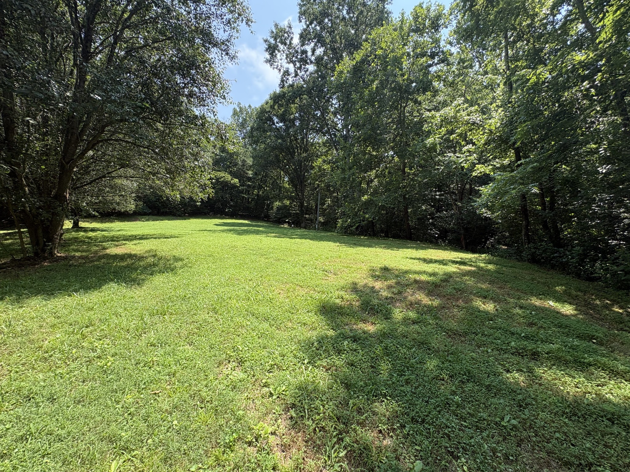 1991 Simmons Ridge Road Cornersville, TN 37047 - Photo 2 of 8 Gallery Image 2