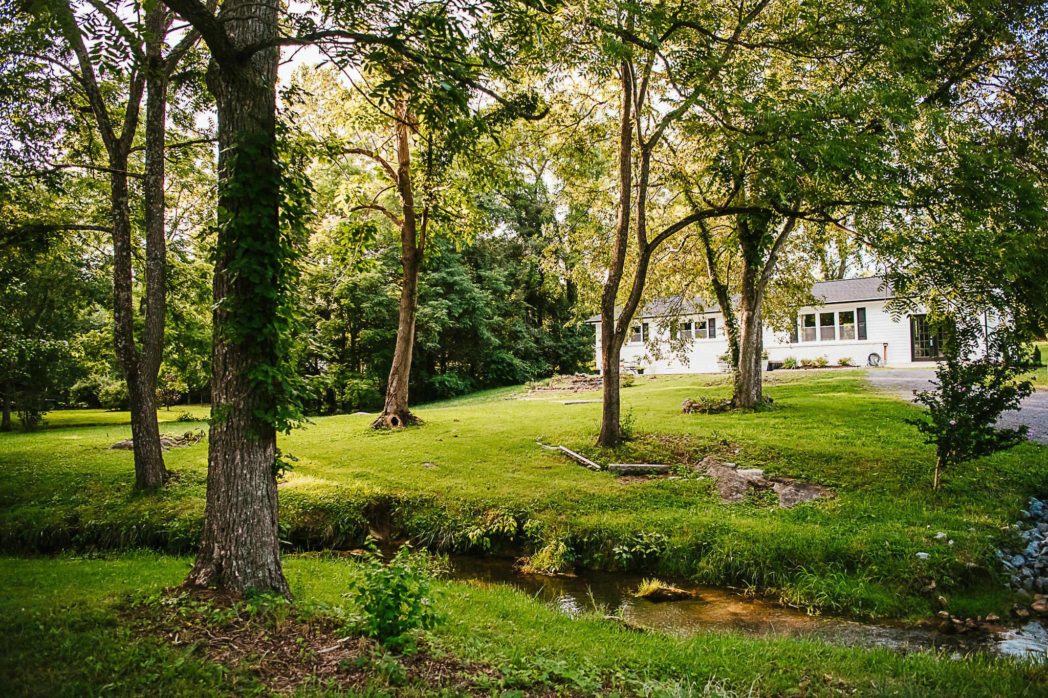 460 Cedar Grove Road Johnson City, TN 37601 - Photo 1 of 50 Broyles Property 2022-8373
