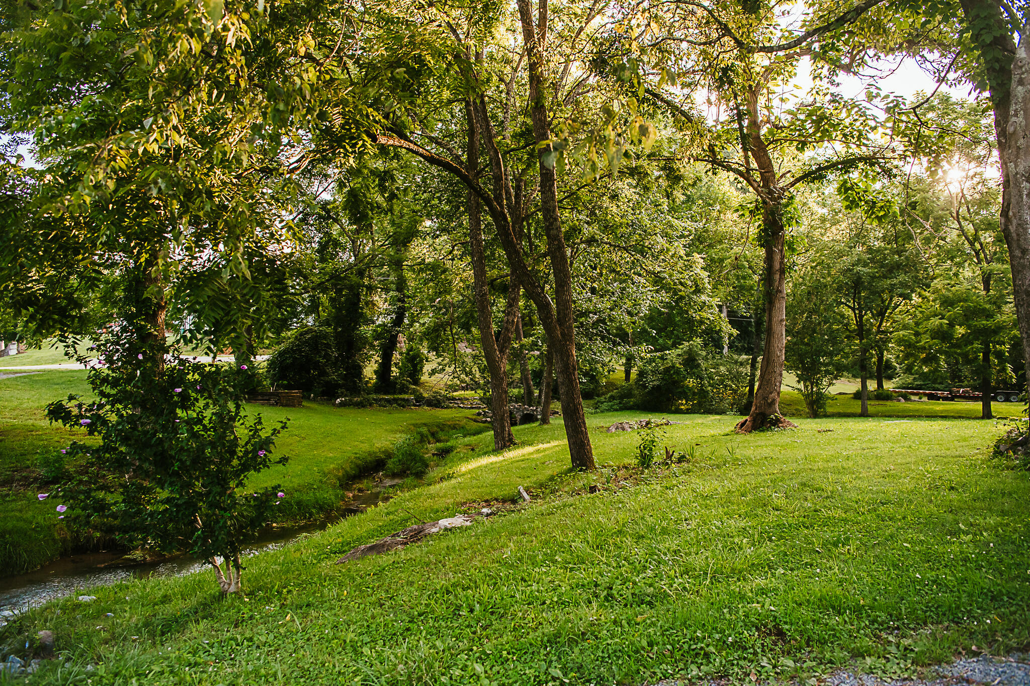 460 Cedar Grove Road Johnson City, TN 37601 - Photo 10 of 50 Broyles Property 2022-8386