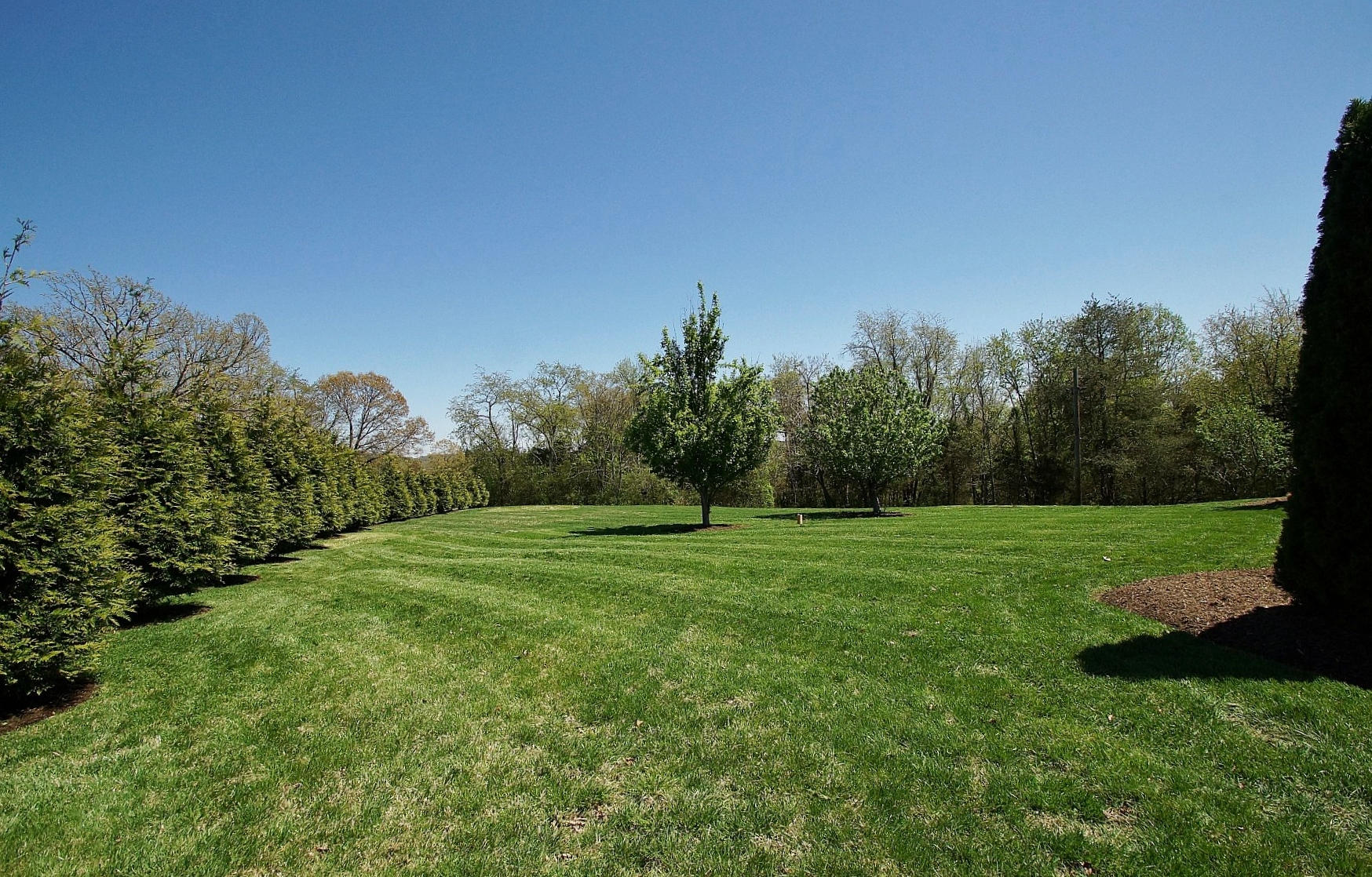 164 Tabernacle Road Penhook, VA 24137 - Photo 36 of 46 a big yard with lots of green space and deers