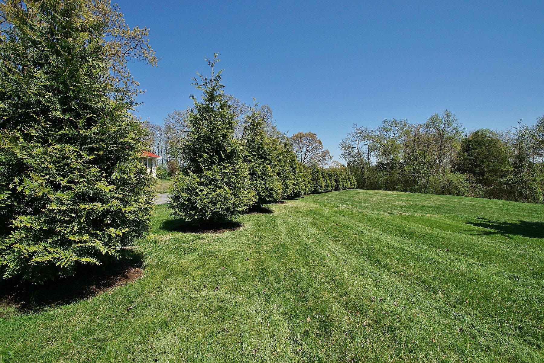 164 Tabernacle Road Penhook, VA 24137 - Photo 37 of 46 a view of a garden
