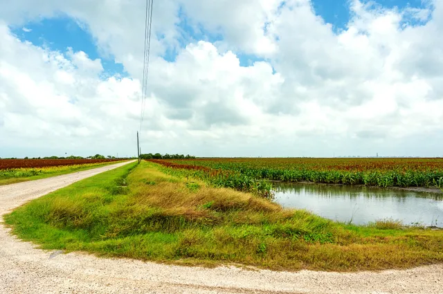 a view of a lake with houses in the back
