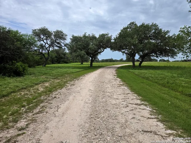 a view of a park with tree s