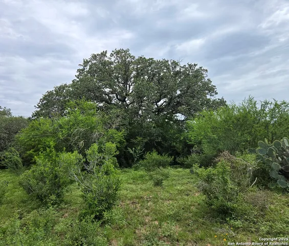 a view of a green field