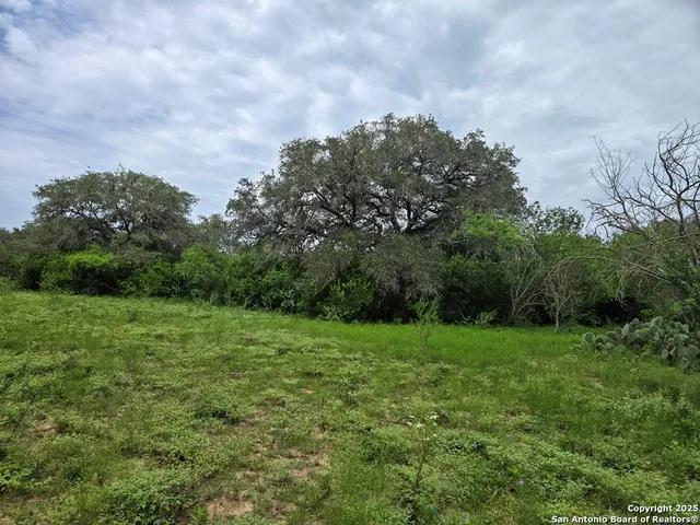 a view of a grassy field with trees in the background