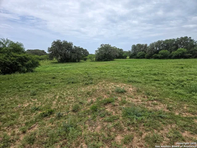 a view of a park with a sink and yard