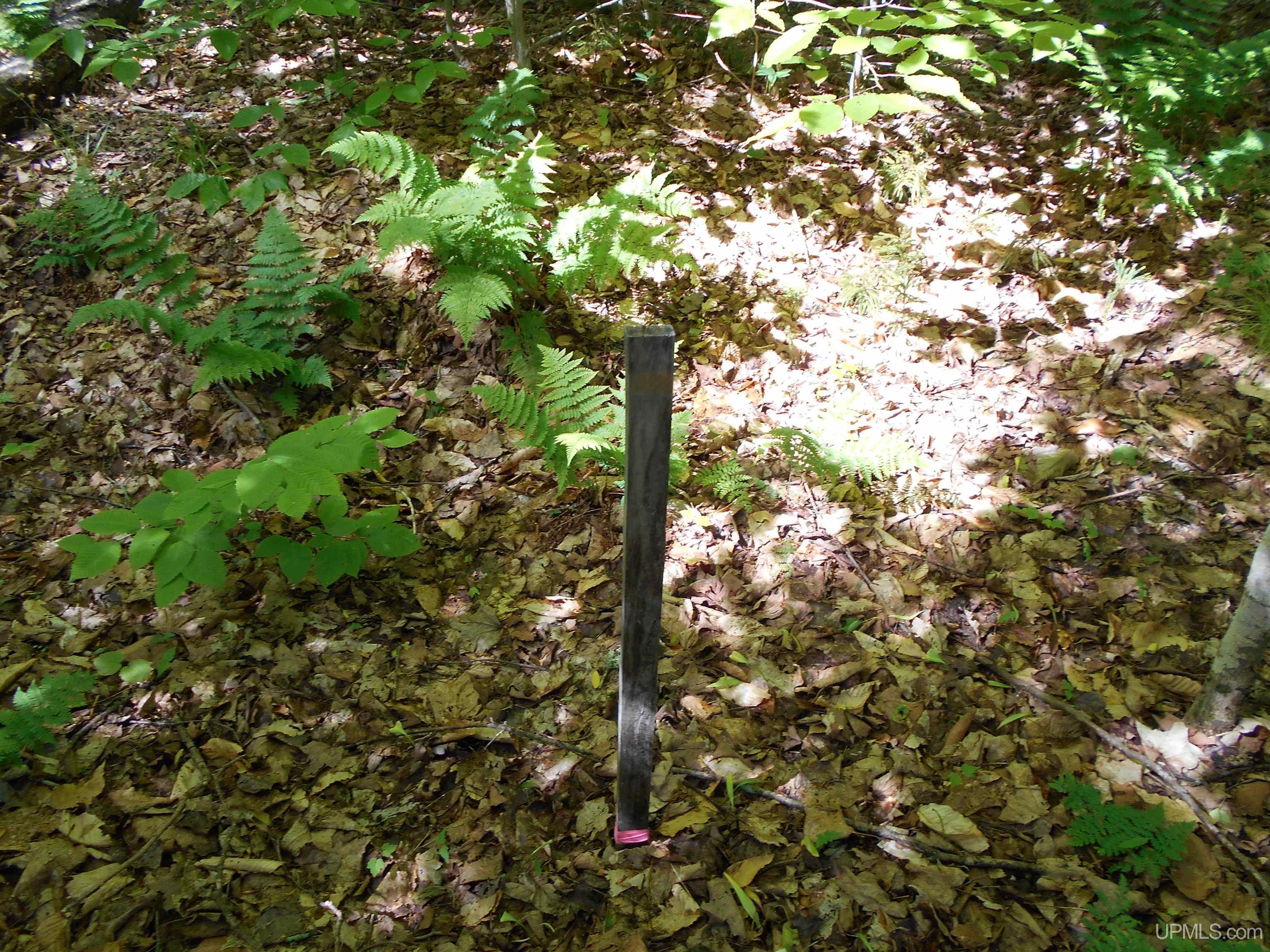 Tbd West Parcel B Little Harbor Road Manistique, MI 49854 - Photo 21 of 43 Gallery Image 21