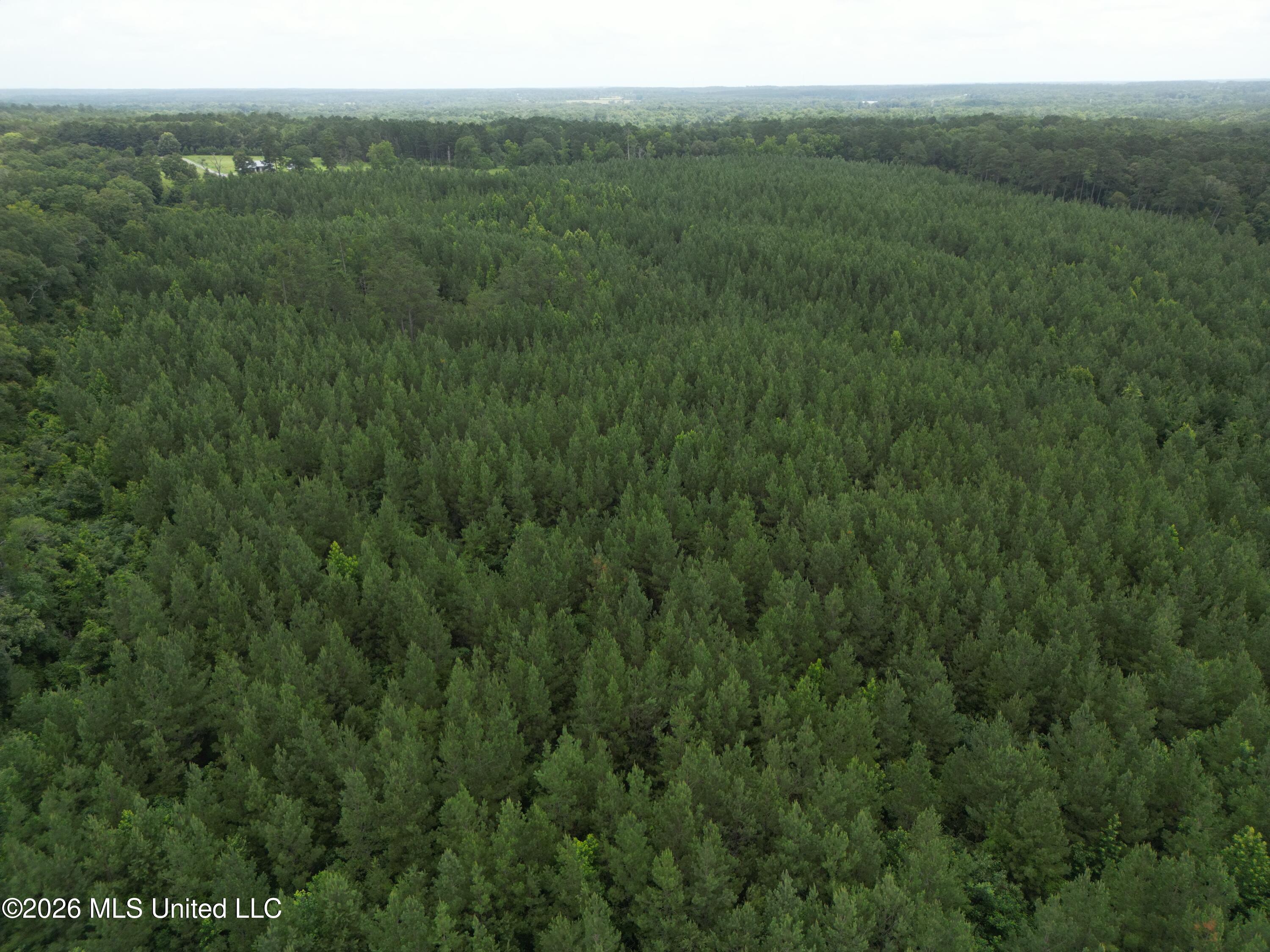 Summit Holmesville Road McComb, MS 39648 - Photo 24 of 29 DJI_0632