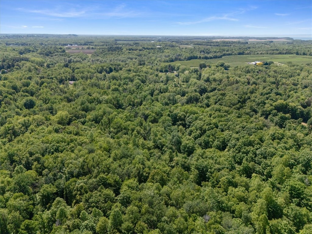 Geneva Road Sodus, NY 14551 - Photo 22 of 34
