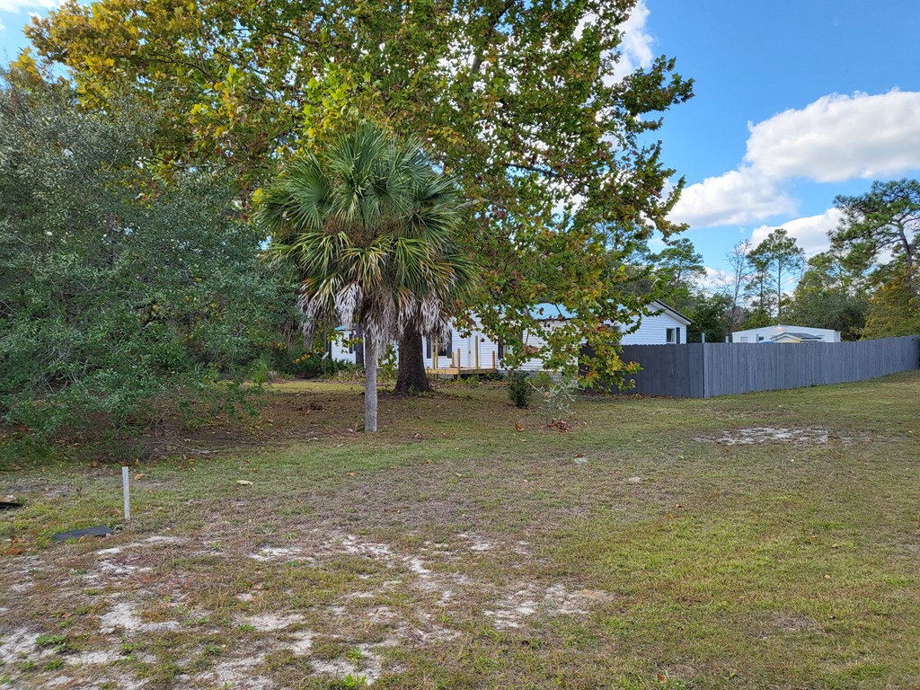2053 Lighthouse Road Carrabelle, FL 32322 - Photo 29 of 38 Gallery Image 29