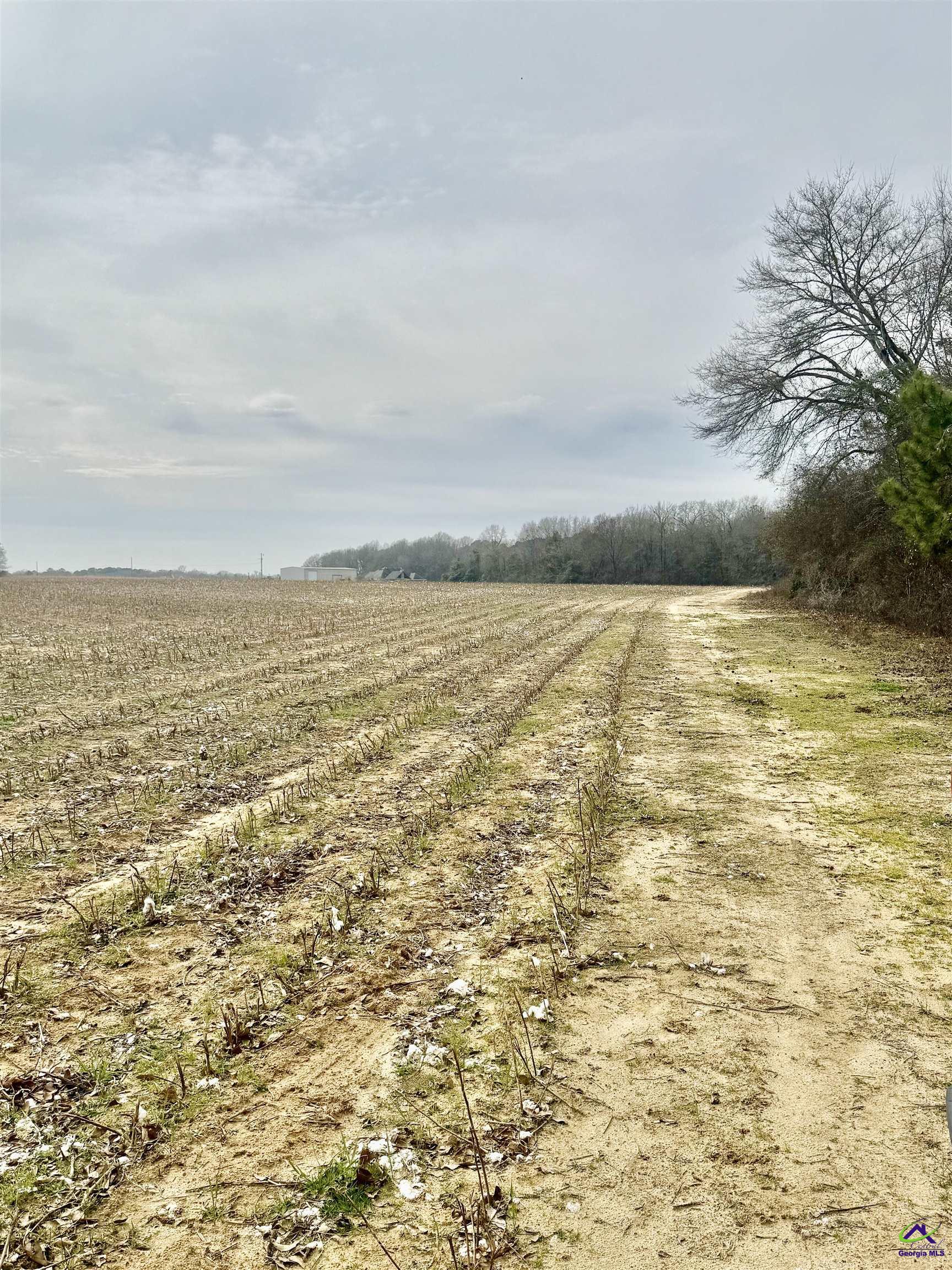 0 Whitfield Road Elko, GA 31025 - Photo 5 of 5