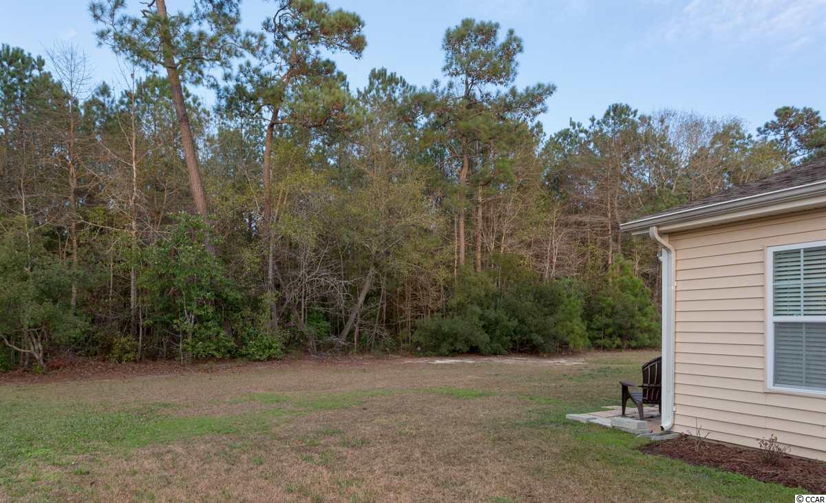244 Whitchurch Street Murrells Inlet, SC 29576 - Photo 17 of 24 Gallery Image 17