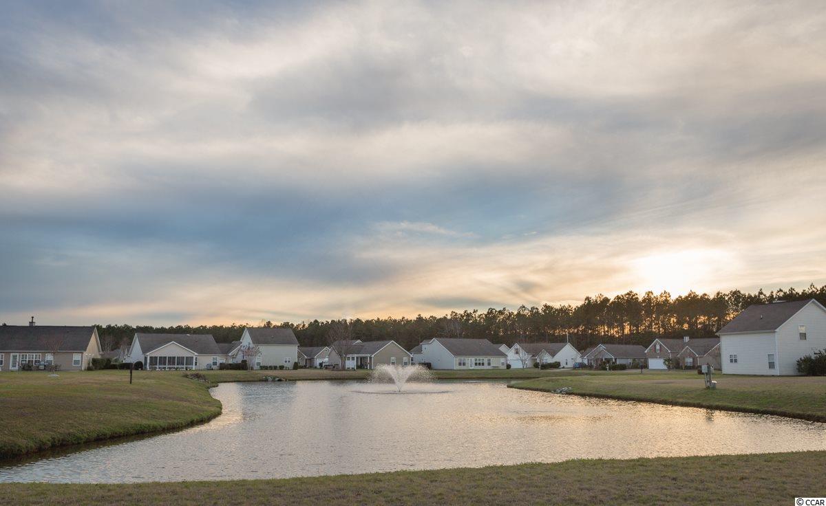 244 Whitchurch Street Murrells Inlet, SC 29576 - Photo 19 of 24 Gallery Image 19