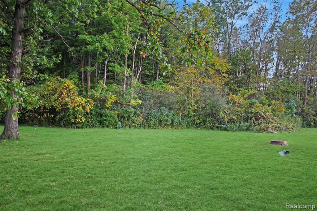 0 Eureka Road Detroit, MI 48242 - Photo 2 of 3