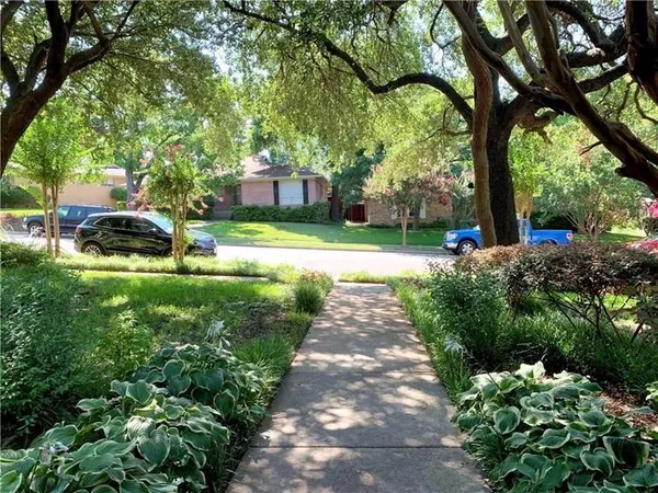 a view of a park with large trees