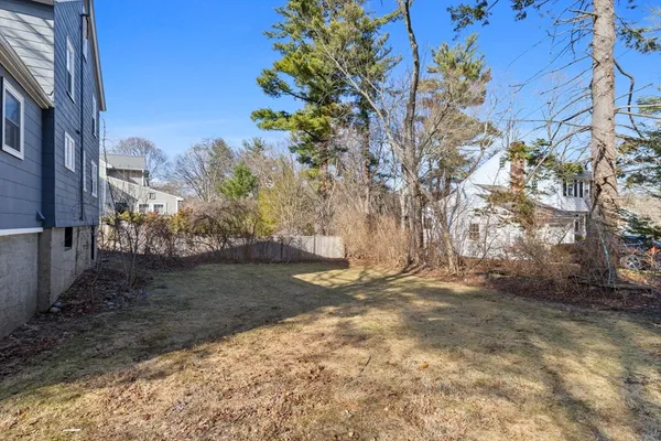 a view of a yard with plants and trees