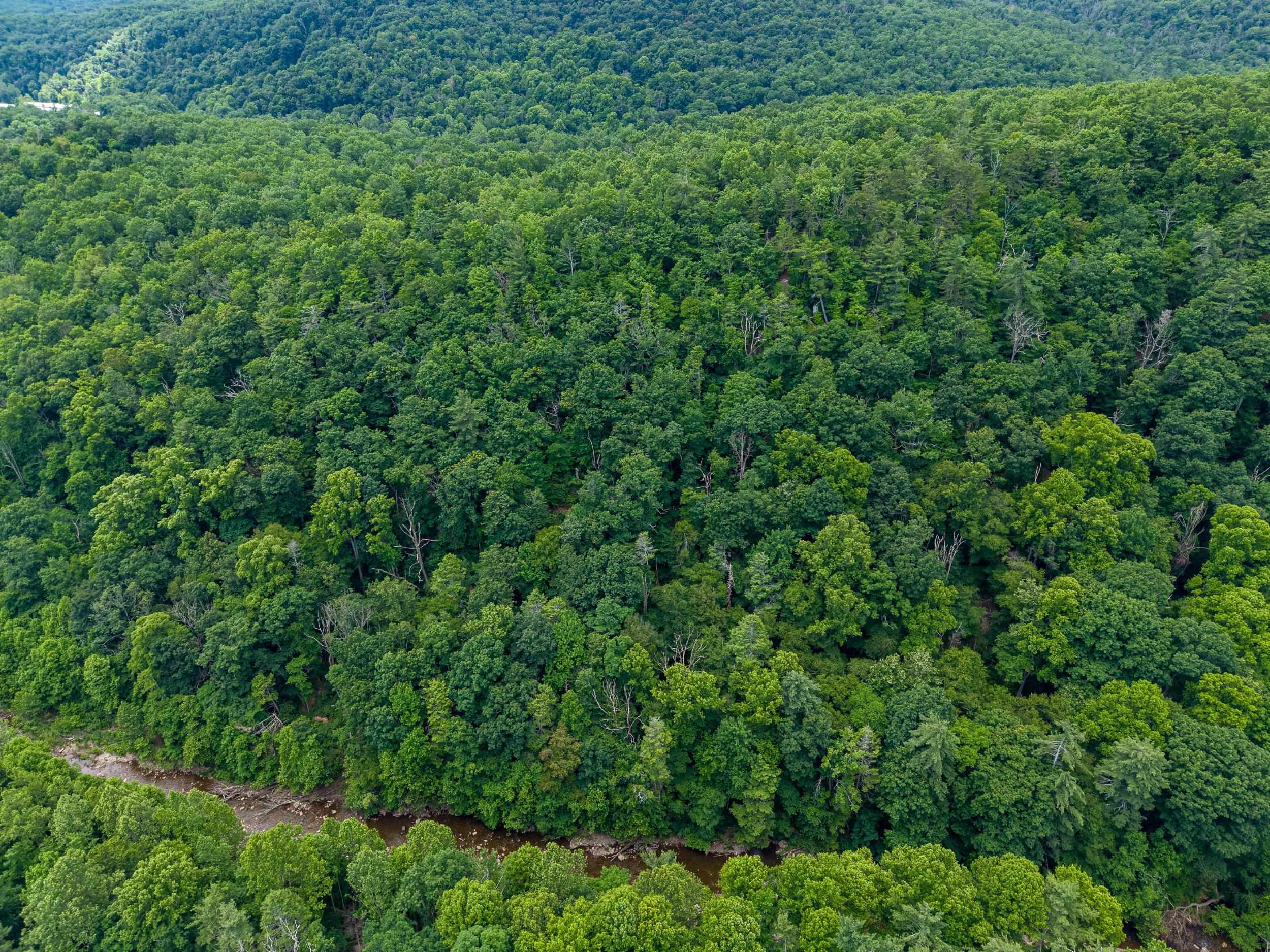 5 Rabbits Foot Road Hinton, VA 22831 - Photo 12 of 16