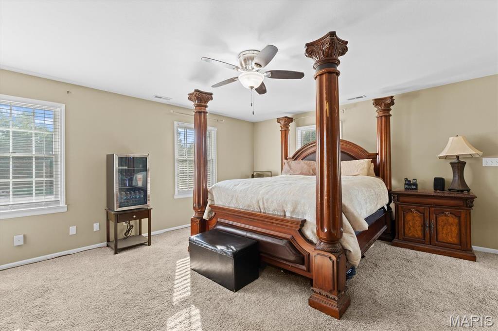 334 Spring Lake Road Millstadt, IL 62260 - Photo 21 of 34