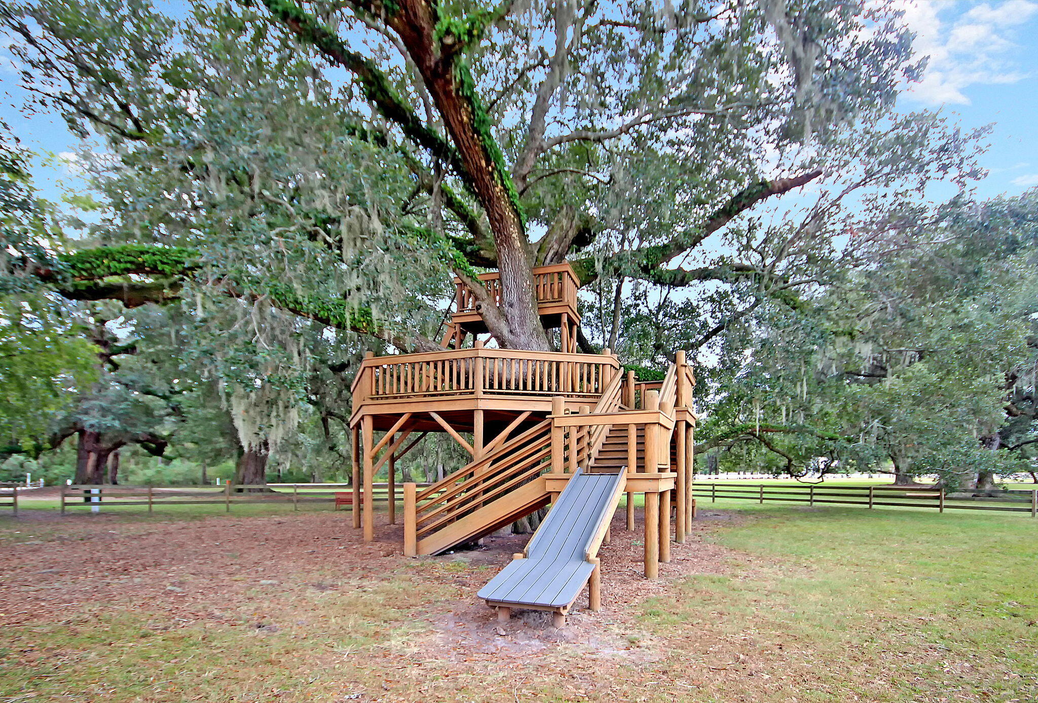 229 Ribbon Road Summerville, SC 29483 - Photo 54 of 60 IMG_6023 copy