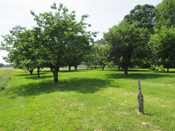 741 South Delps Road Bath, PA 18014 - Photo 38 of 45 a view of a park with trees