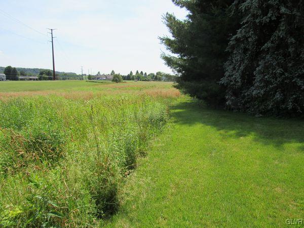 741 South Delps Road Bath, PA 18014 - Photo 6 of 45 a view of a garden with a lake
