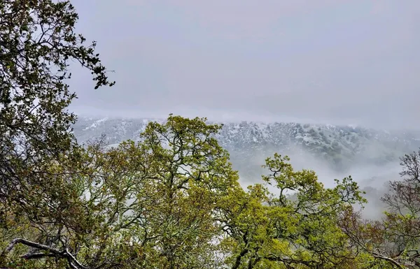 $419,000 | 0 Grandview Drive, Napa, CA 94558