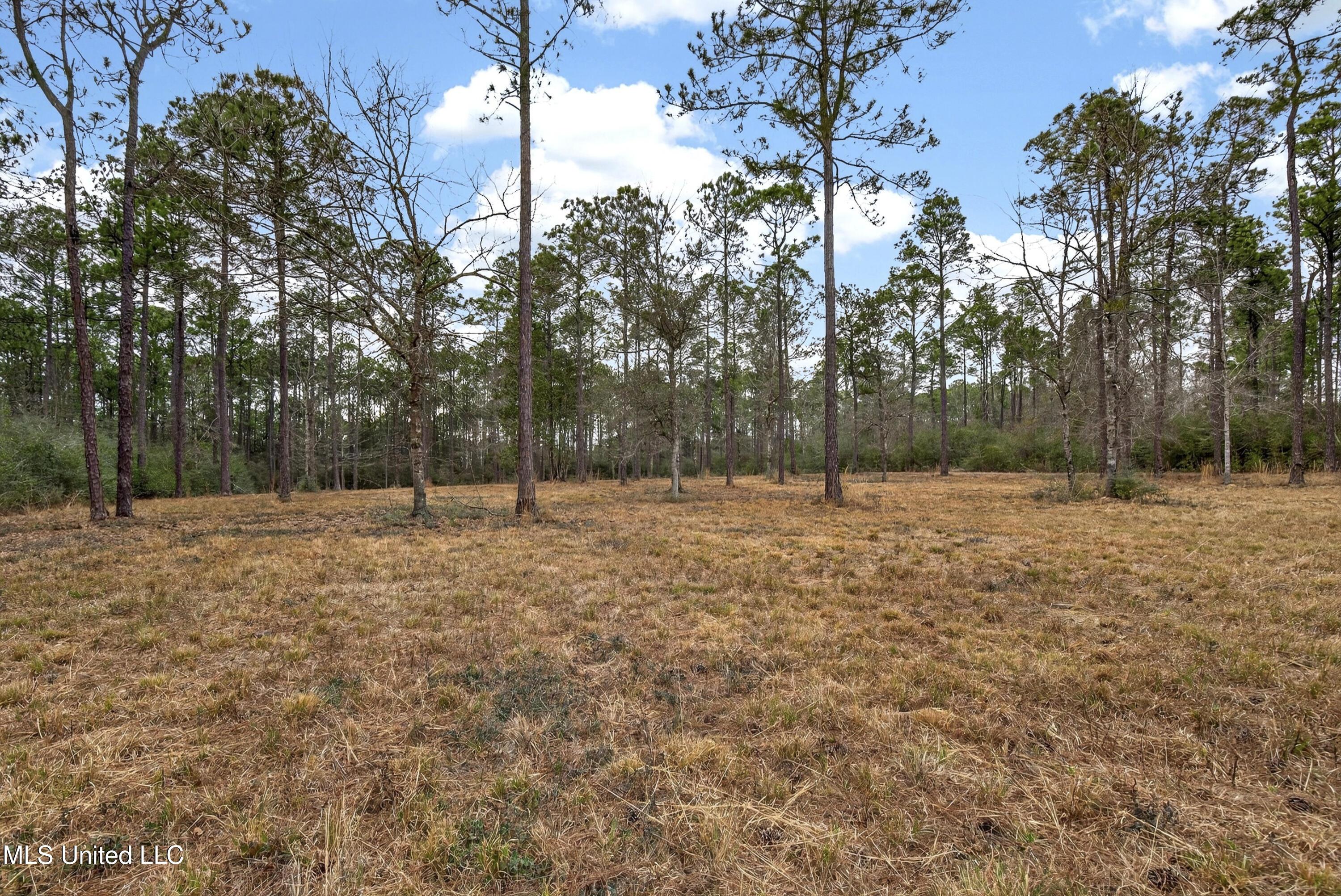 14171 Jim Byrd Road Biloxi, MS 39532 - Photo 27 of 47 14171JimByrdRd-44