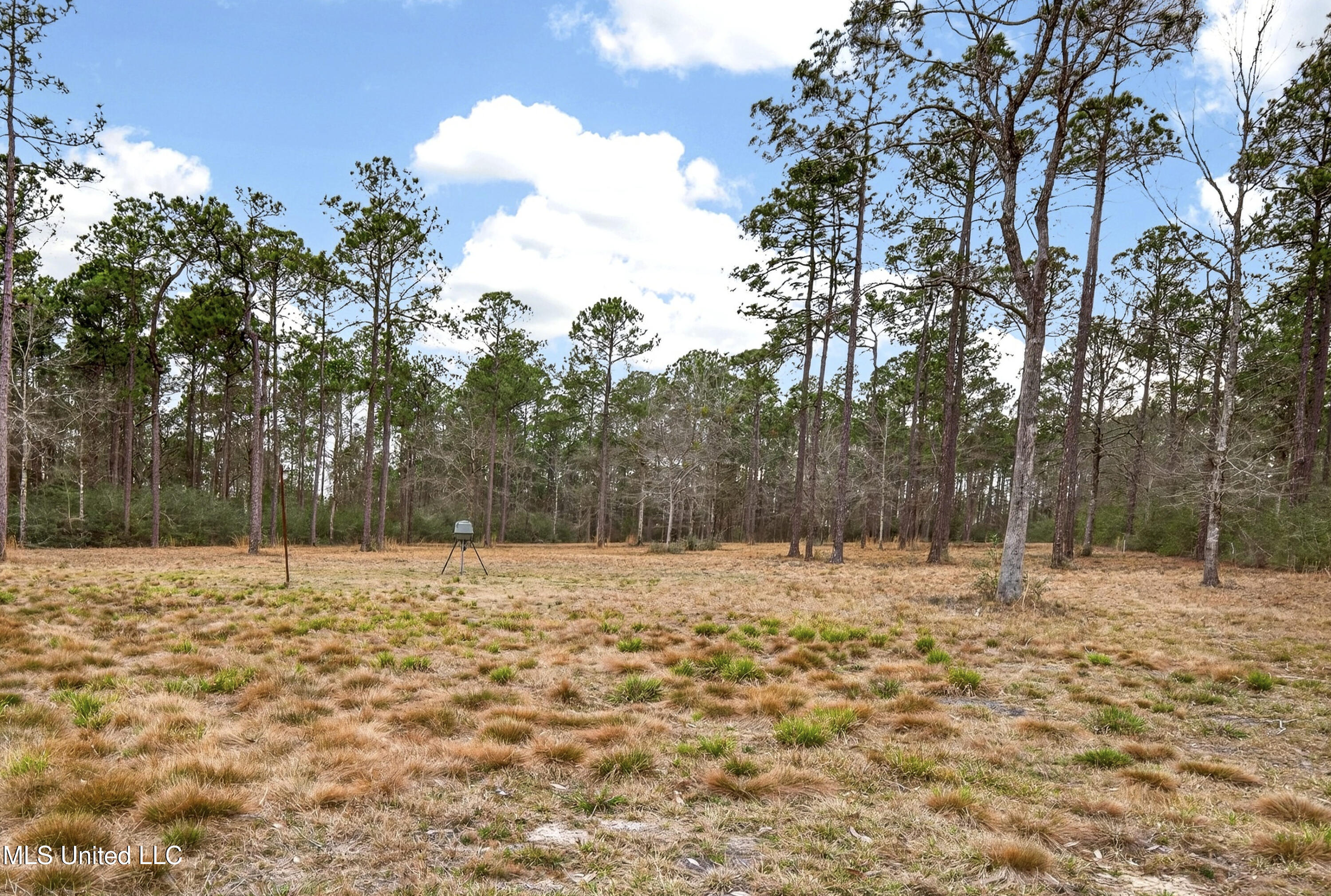 14171 Jim Byrd Road Biloxi, MS 39532 - Photo 28 of 47 14171JimByrdRd-43