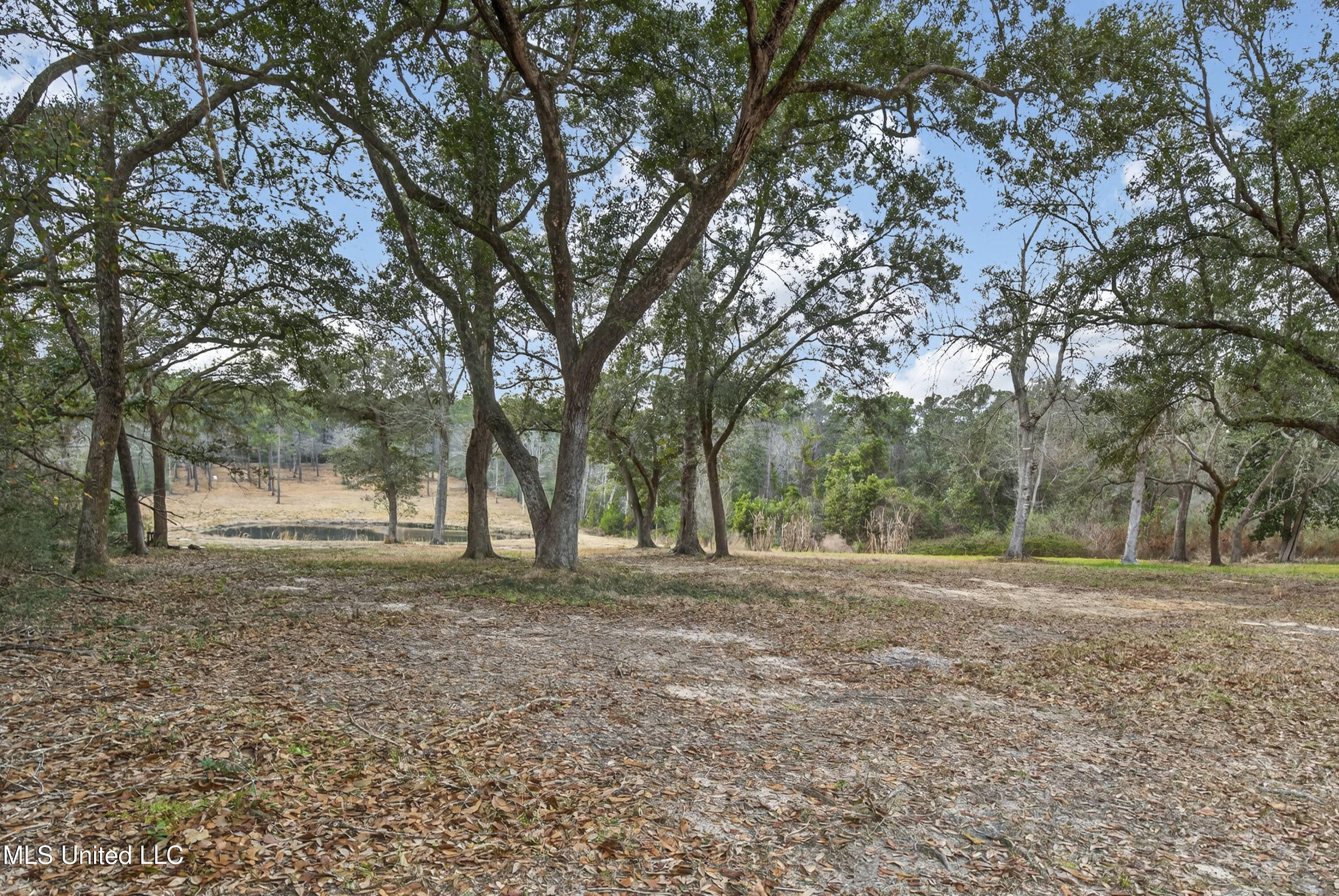 14171 Jim Byrd Road Biloxi, MS 39532 - Photo 29 of 47 14171JimByrdRd-40